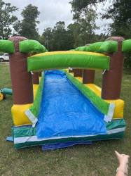 IMG 7436 1746561042 27Ft. Palm Tree Slip and Slide