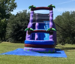 IMG 7776 1746560879 21 Foot Palm Tree Purple Slide - Dry