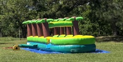 IMG 7777 1746560902 27Ft. Palm Tree Slip and Slide